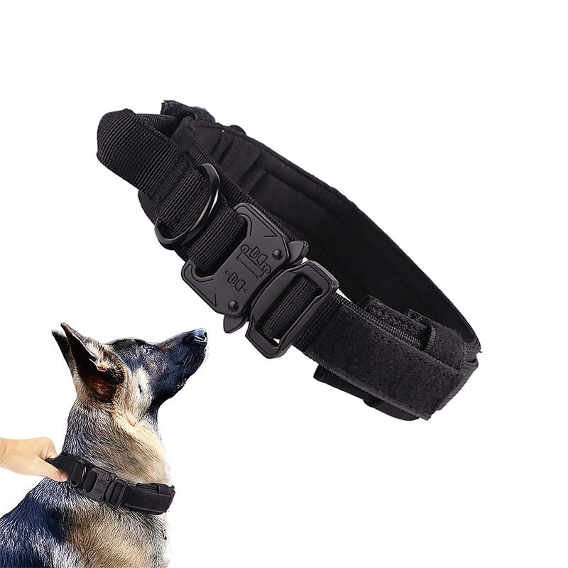 Adjustable Nylon Dog Collar