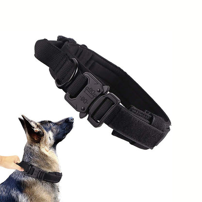 Adjustable Nylon Dog Collar