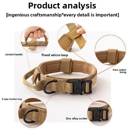 Adjustable Nylon Dog Collar